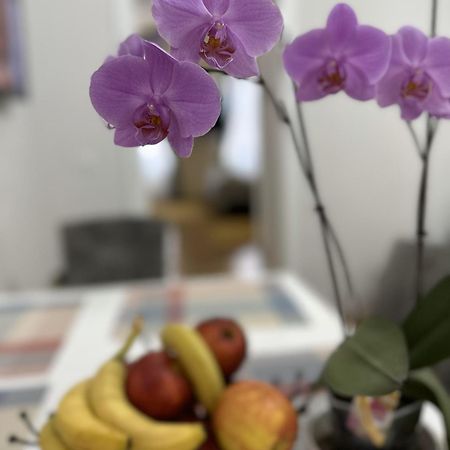 Apartament BOEM 2 Sibiu Old Town Zewnętrze zdjęcie